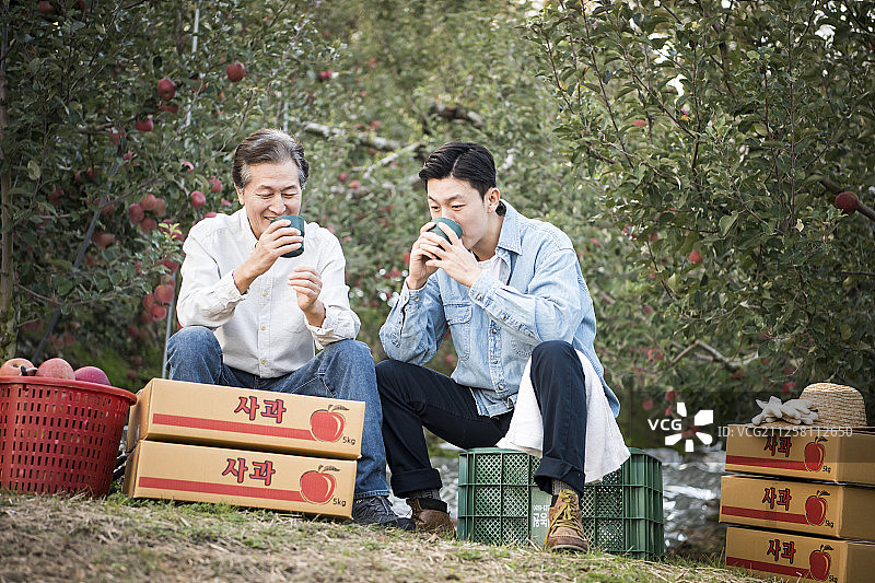 儿子和父亲在果园里喝咖啡图片素材