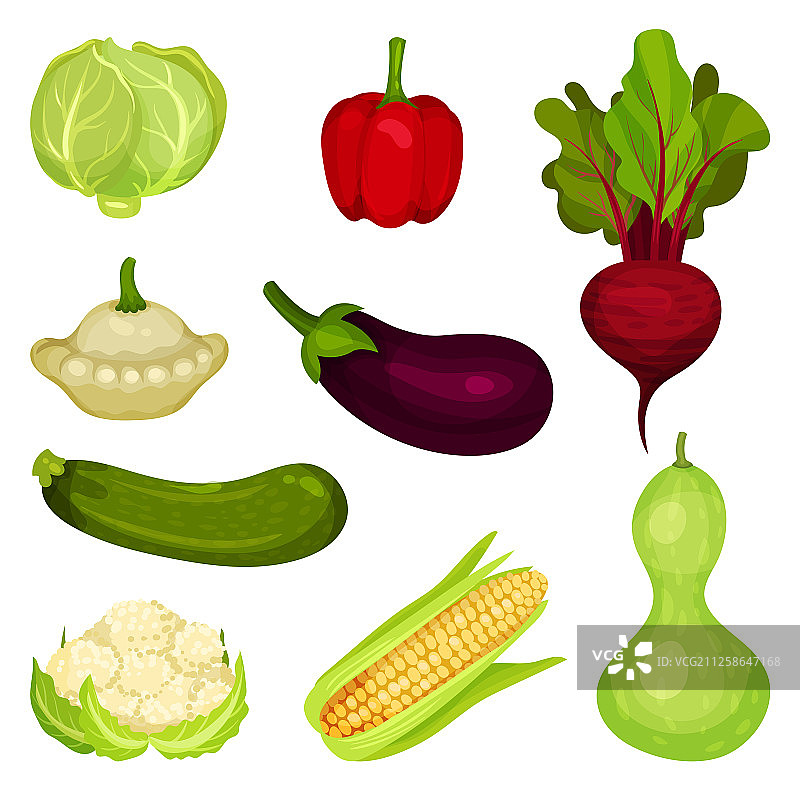 套新鲜蔬菜，健康食品天然图片素材