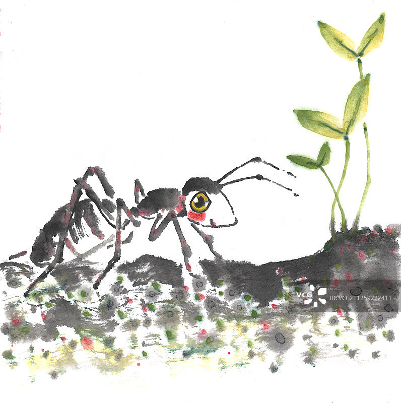 中国画水墨插画-觅食的蚂蚁图片素材