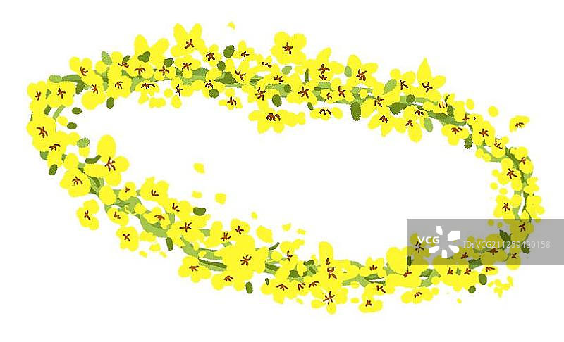 黄色的油菜花花环图片素材