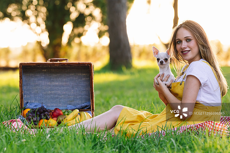 日落时分，一个怀孕的小女孩在野餐。与吉娃娃狗图片素材