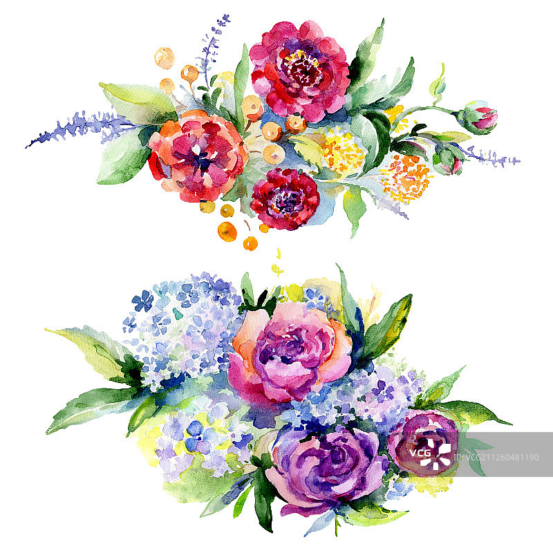花束，植物的花。水彩背景插图集。孤立的花束插图元素。图片素材