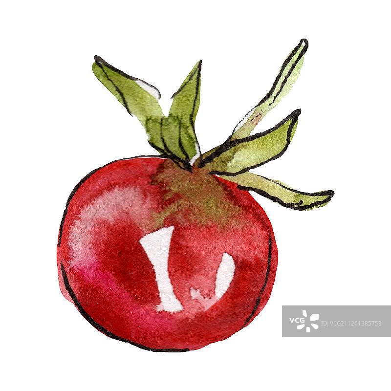 红色番茄在水彩风格孤立。水彩画食物的背景，质地，包装图案或菜单。图片素材
