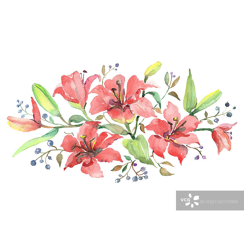 橙百合，花束，植物花。水彩背景设置。孤立的花束插图元素。图片素材