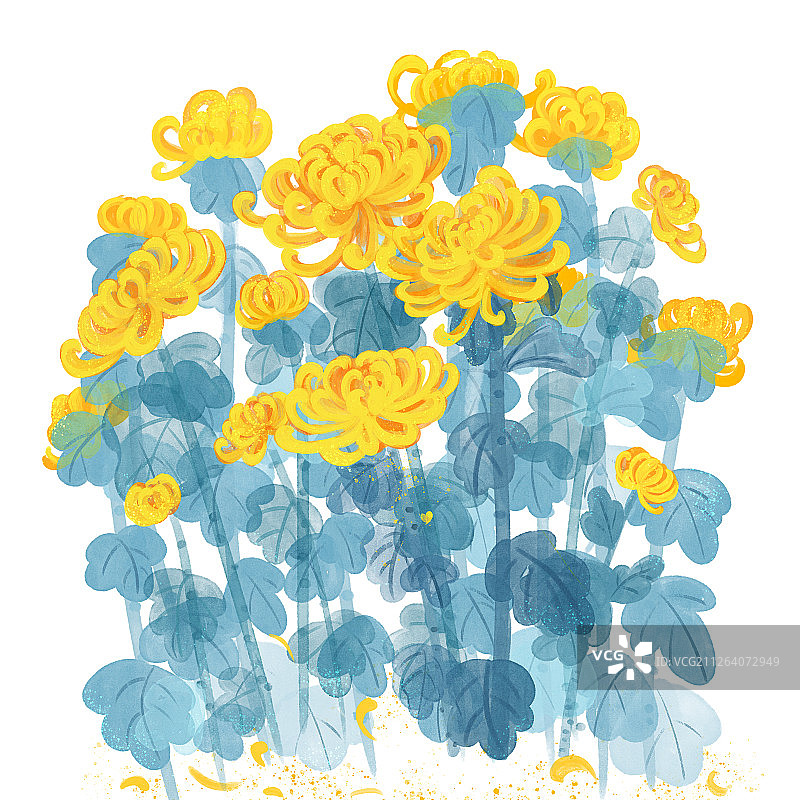 盛开的金色秋菊国画水彩风手绘插画图片素材