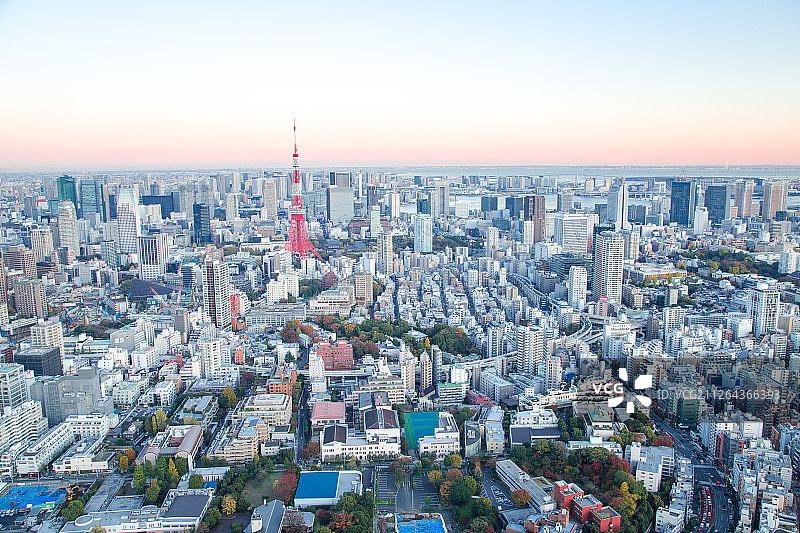 六本木之丘拍东京塔图片素材