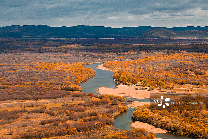 金秋时节内蒙古根河额尔古纳湿地图片素材