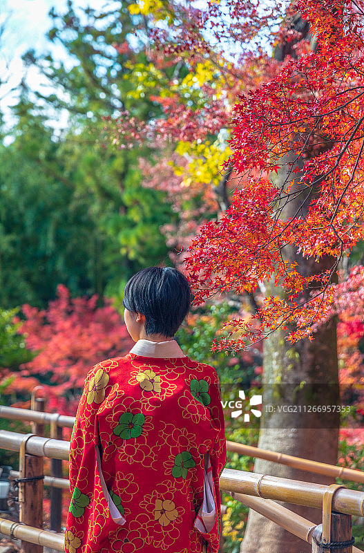 日本京都秋天枫叶季节北野天满宫图片素材