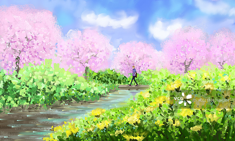 樱花盛开的春天一位男士在公园散步图片素材