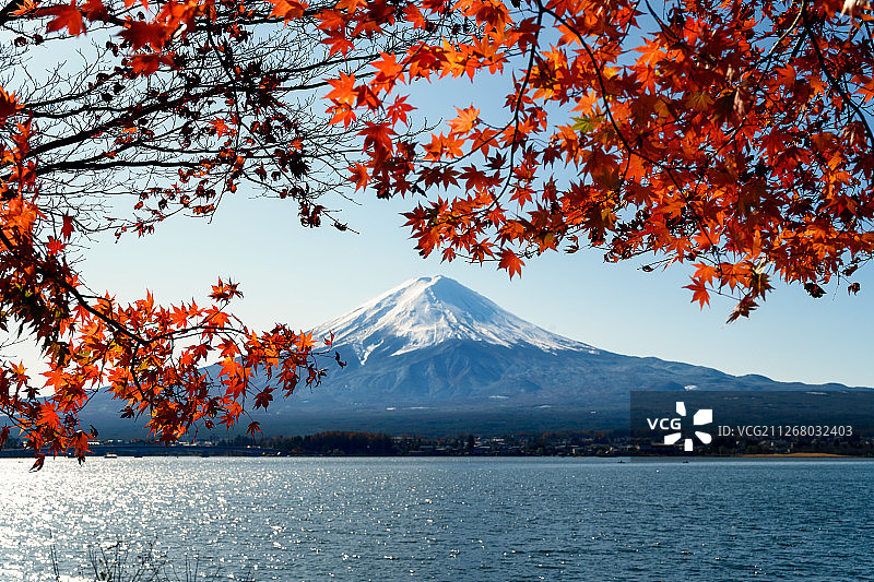 富士山红叶图片素材