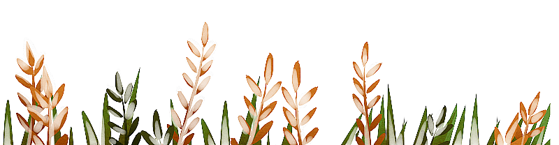 冬天里的小草植物插画图片素材