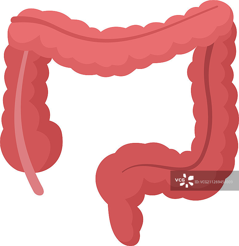 人体肠道图标平坦样式图片素材