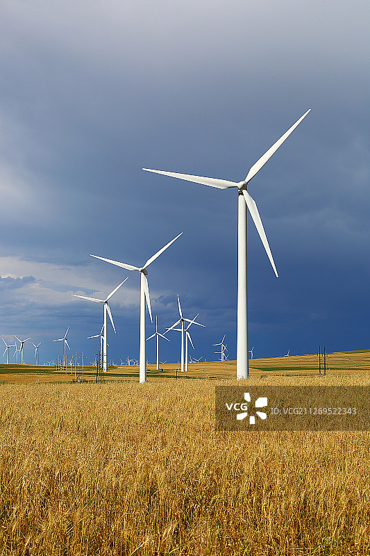 乌兰布统草原上的风车图片素材