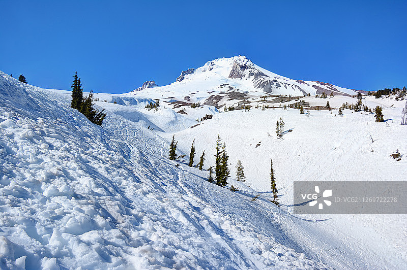 晴朗的日子里，雪山的山坡上图片素材