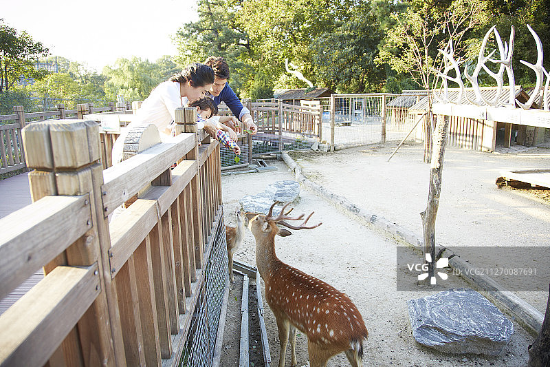 家庭在公园动物园享受时光的照片图片素材