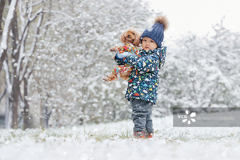 雪地中的小孩和狗图片素材