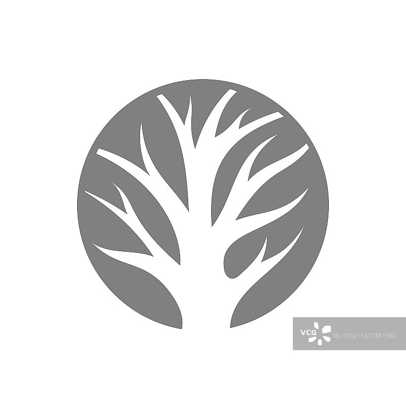 简单的枯树树干logo设计图形图片素材