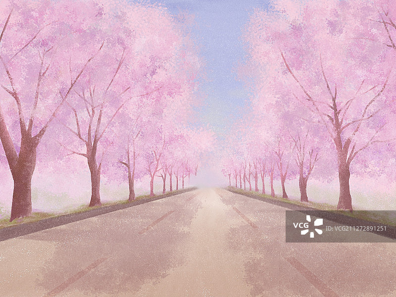 樱花树盛开的通向远方的道路插画图片素材