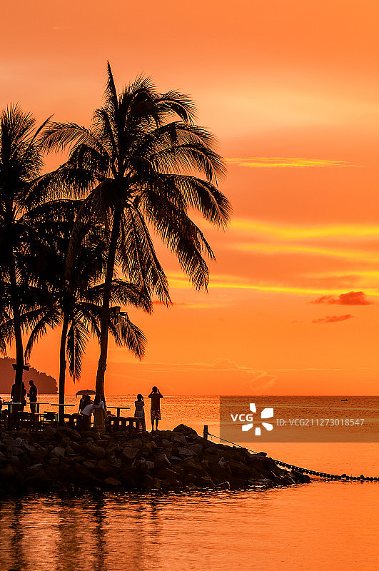 人们在棕榈树下欣赏被夕阳映红的天空和海洋。图片素材