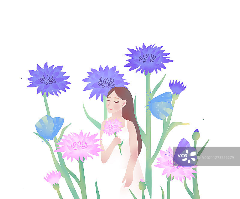 拿着矢车菊花卉的少女清新插画图片素材