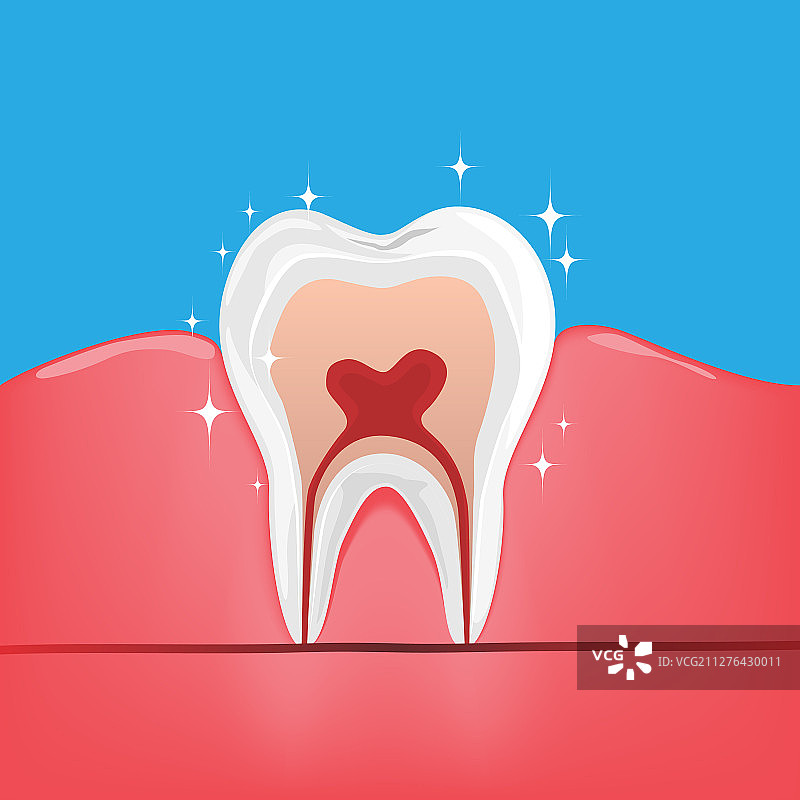 健康的牙齿对健康的牙龈对孤立的蓝色图片素材