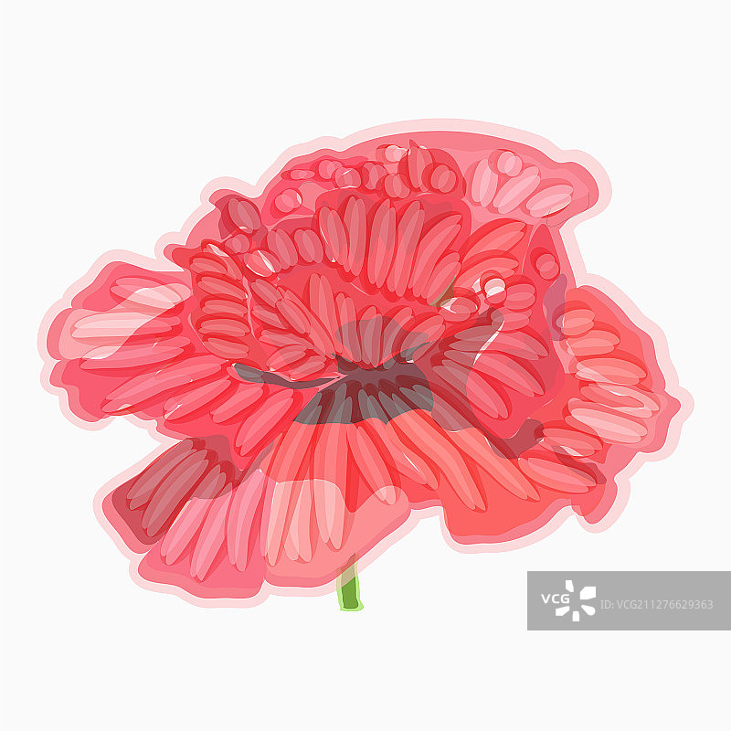 罂粟花水彩画花卉装饰元素图片素材