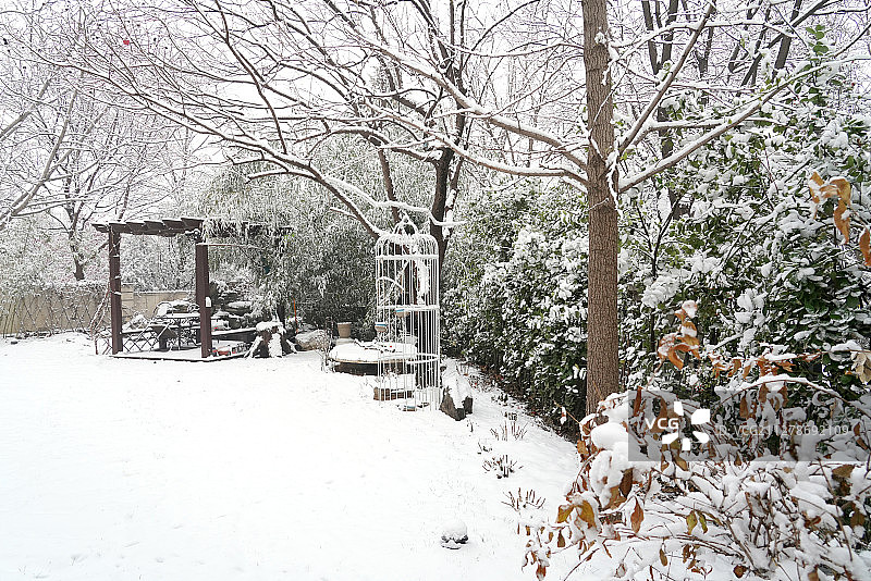下雪后的私家花园图片素材