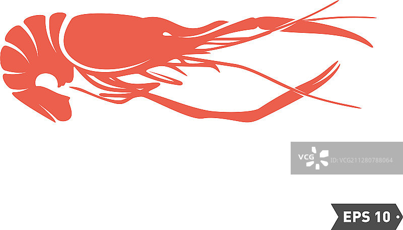 虾标志设计孤立虾上白色图片素材