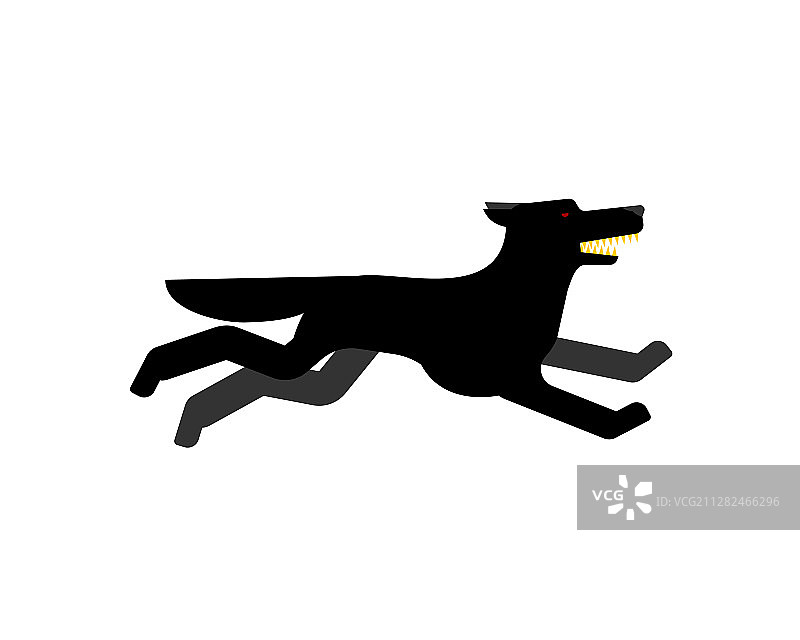 黑狼是一个孤立的愤怒的捕食者图片素材