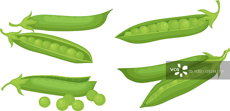 在白色背景上分离的豆荚中的绿色豌豆图片素材