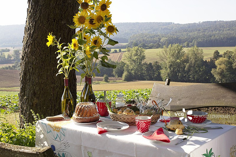蛋糕和向日葵在桌子上为下午咖啡和风景图片素材