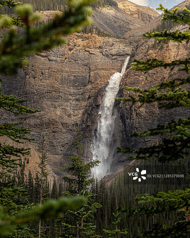 位于加拿大不列颠哥伦比亚省Yoho国家公园的高kakkaw瀑布，周围是松树图片素材