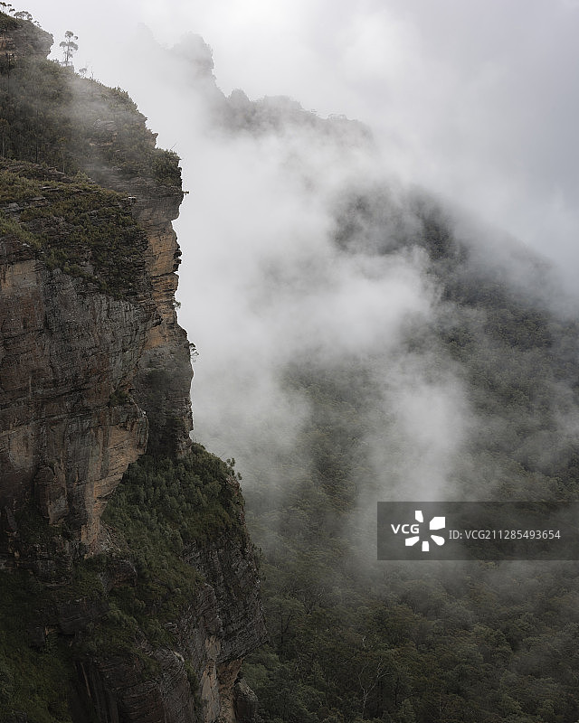 澳大利亚新南威尔士州蓝山国家公园，山地景观中有雾图片素材