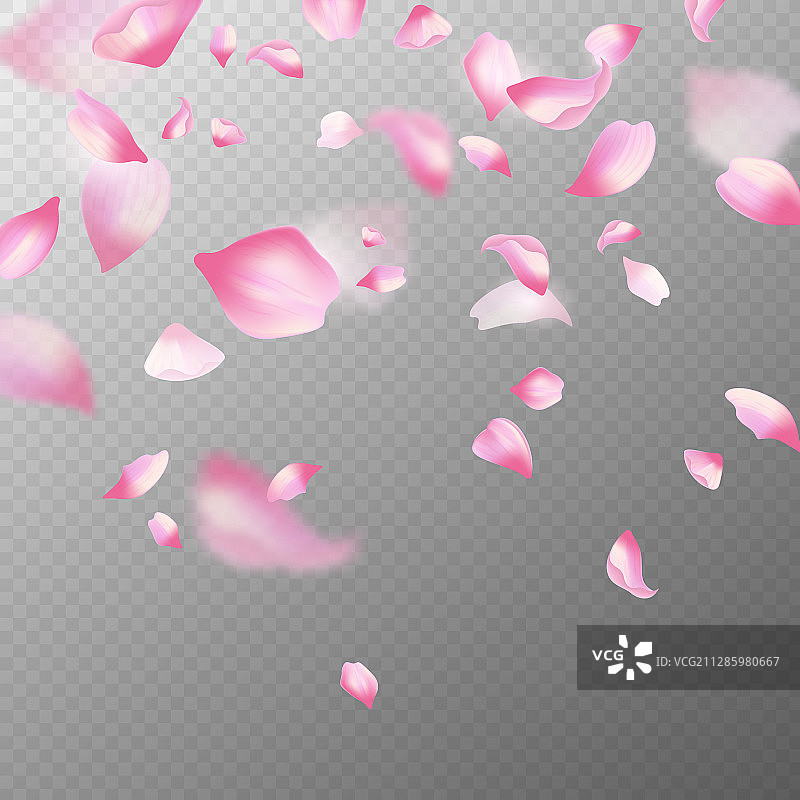 粉红色的樱花花瓣逼真的粉红色樱花落下图片素材