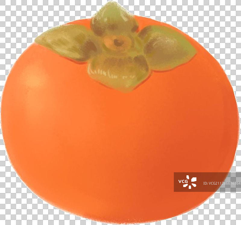 一颗成熟的橘红柿子图片素材