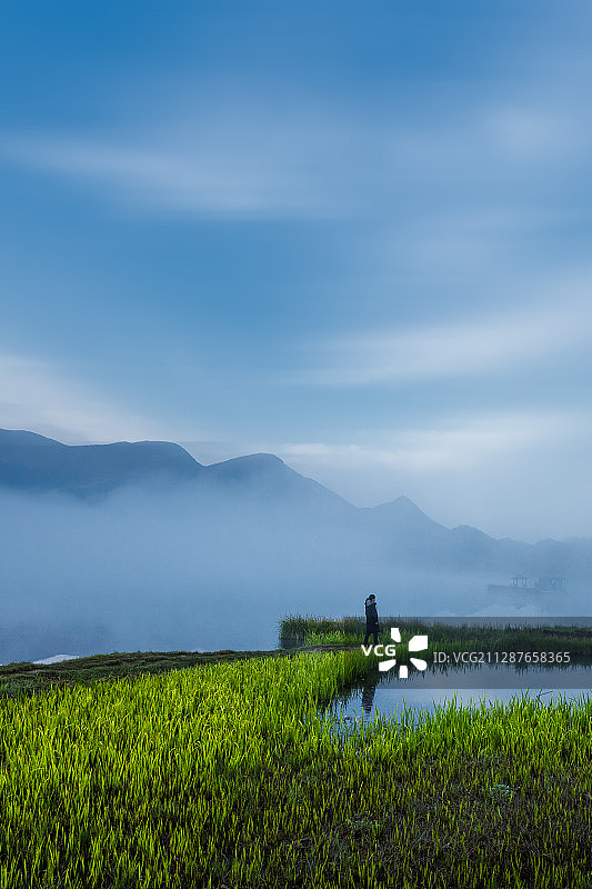 中国湖北神农架大九湖湿地公园图片素材