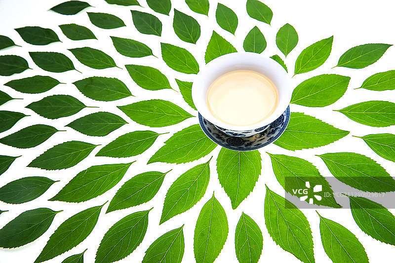 绿色的茶叶和茶杯图片素材