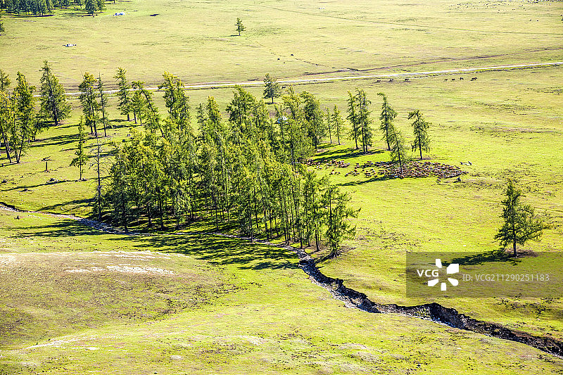 新疆喀纳斯国家地质公园白哈巴雪山下的高山草场图片素材