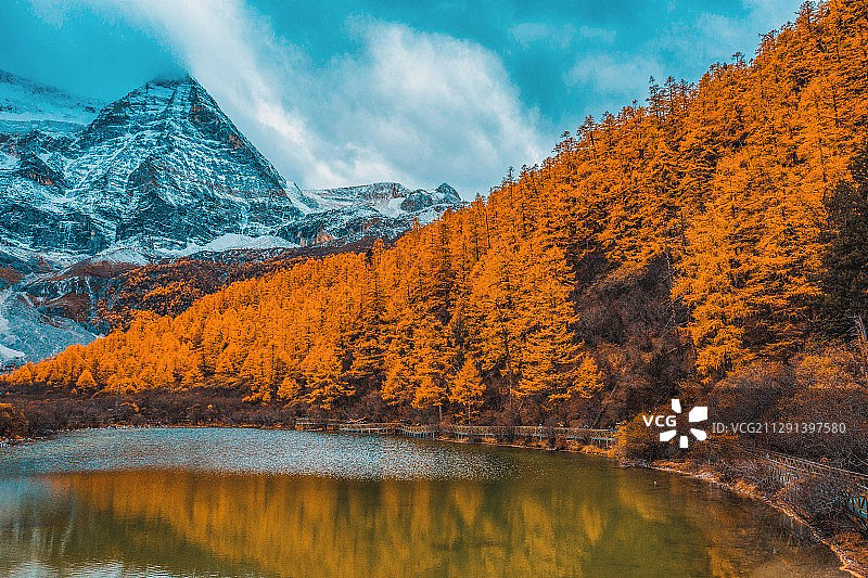川西 甘孜州 稻城亚丁秋色 秋季风光航拍图片素材