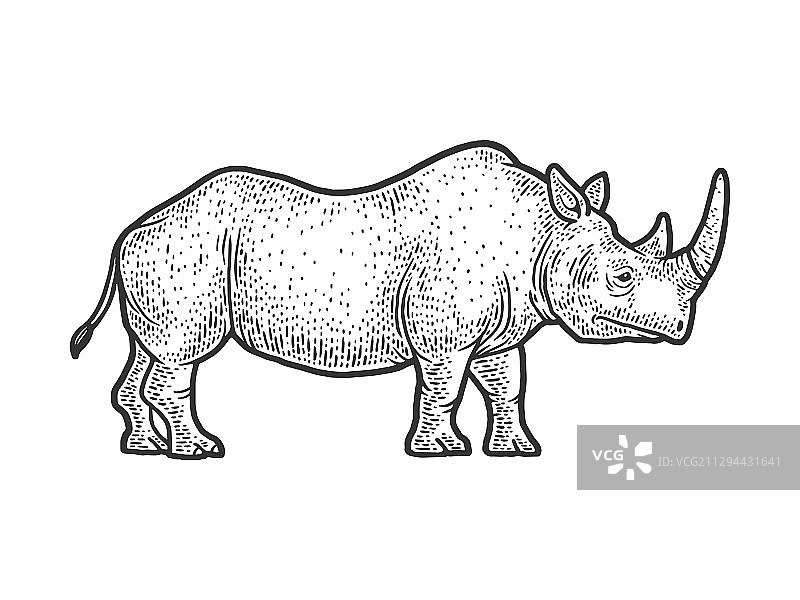 犀牛草图图片素材