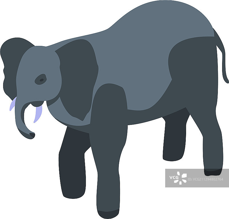 动物园大象图标等距风格图片素材