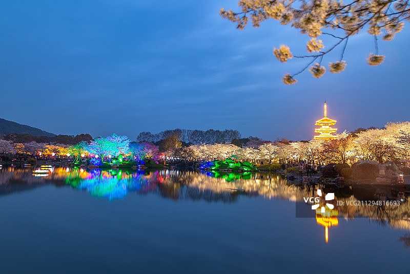 夜樱吟唱之二--武汉东湖樱花园图片素材