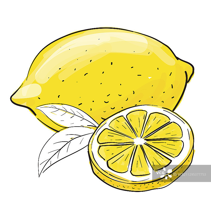 柠檬切片插画图片素材