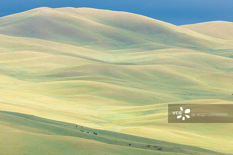 俯拍夏季清晨的中国新疆巴音布鲁克草原图片素材