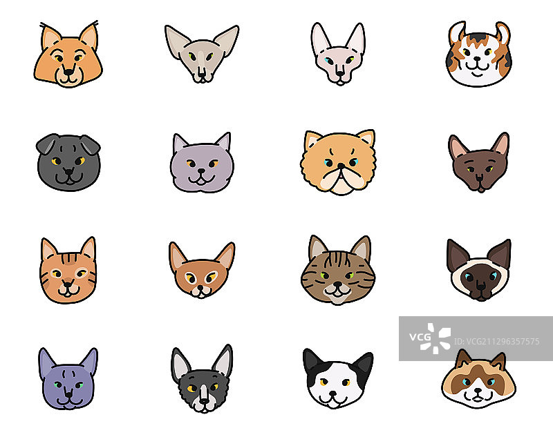 猫脸品种设定轮廓草图图片素材