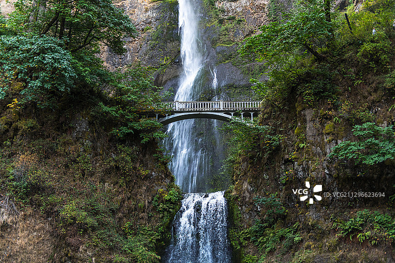 森林中的瀑布，Multnomah瀑布，俄勒冈州，美国图片素材
