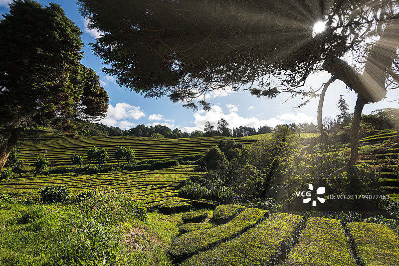 葡萄牙玛雅，天空下的农田风景图片素材