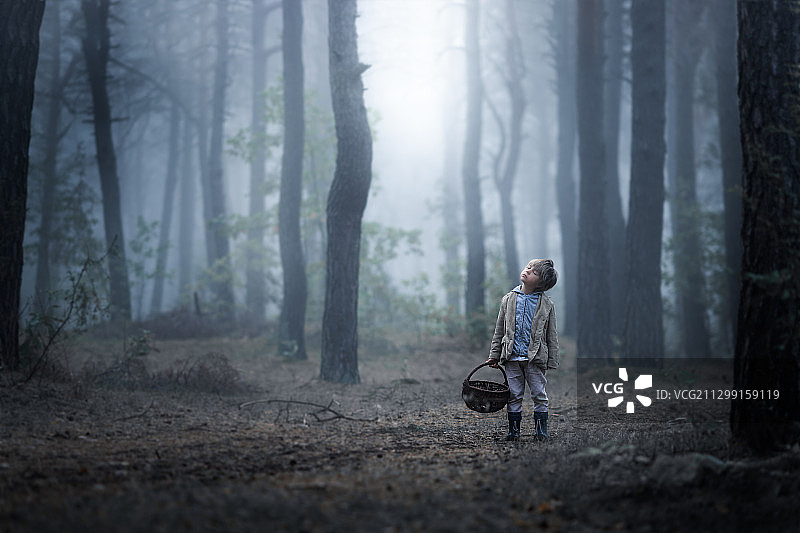 带着篮子在森林里行走的男孩图片素材