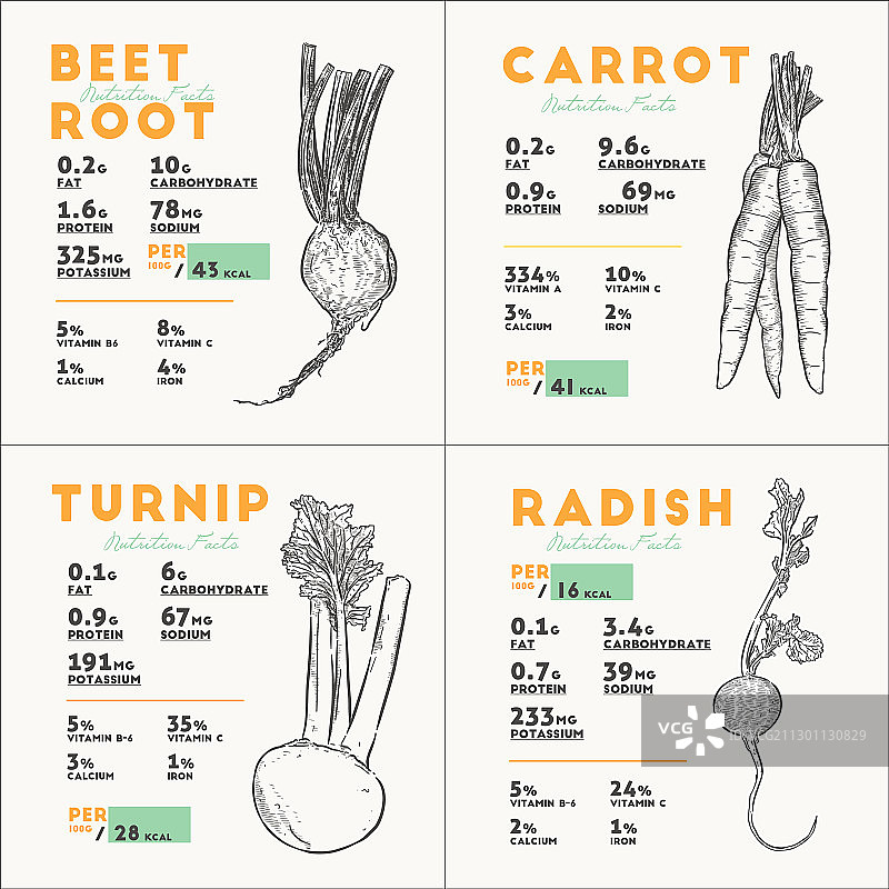 营养成分包括甜菜根，胡萝卜，萝卜和图片素材