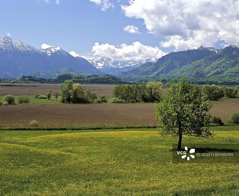 Murnau Moos, Wetterstein Range, Loisach Valley, Murnau，上巴伐利亚，德国，欧洲图片素材